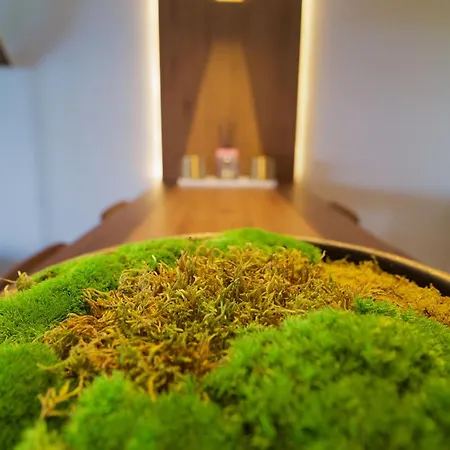 Appartamento Boutique Studioapartment Iv Abbazia