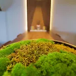 דירה Boutique Studioapartment Iv אופטיה